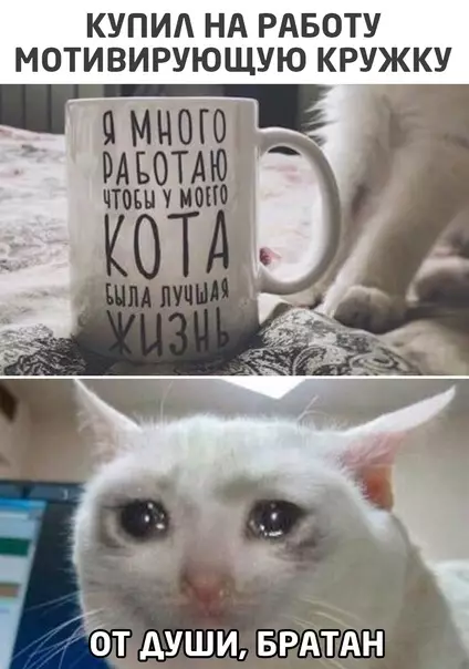 Смешная картинка №538994
