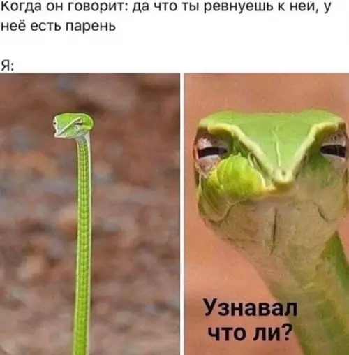 Смешная картинка №547862