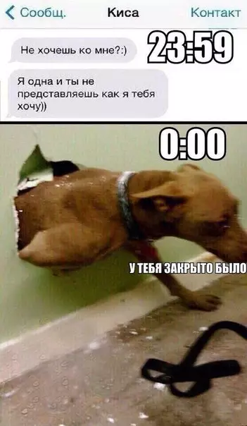 Смешная картинка №205411