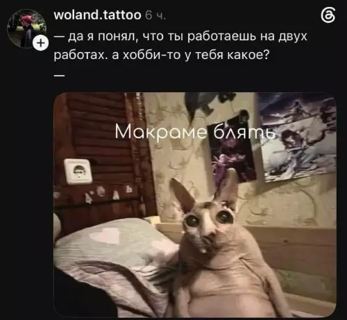 Когда хобби зашло слишком далеко 🧶😂 - да я понял, что ты работаешь на двух работах. а