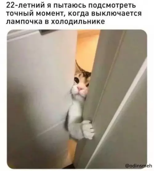Смешная картинка №656927