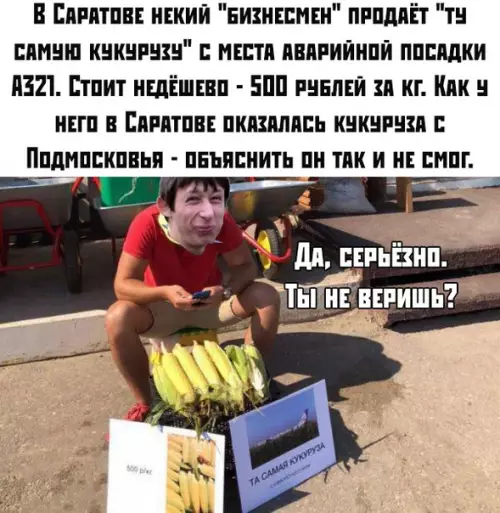 Смешная картинка №379689