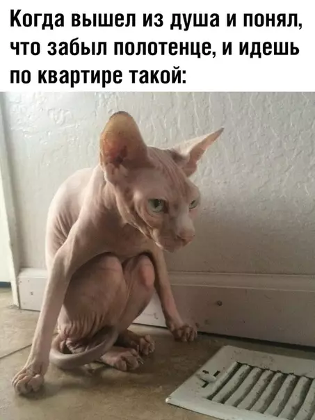 Смешная картинка №359533
