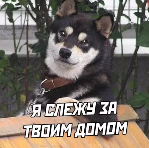 Смешная картинка №583266