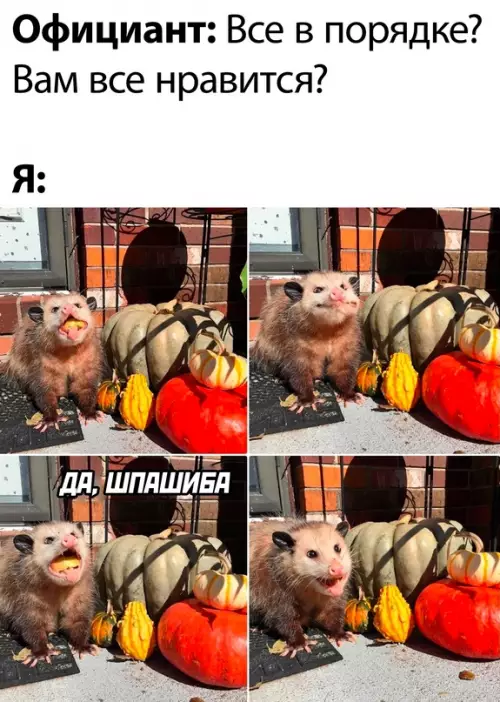 Смешная картинка №695402
