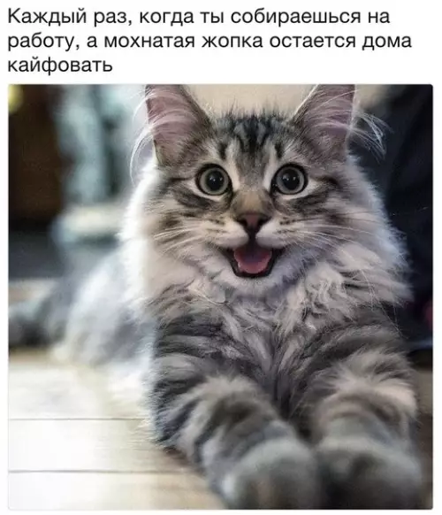 Смешная картинка №258942