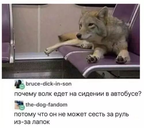 Смешная картинка №240499