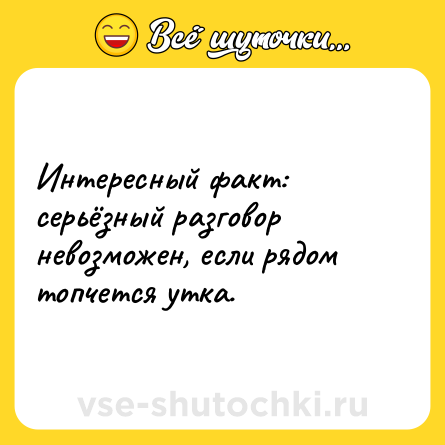 Шутка: Интересный факт: серьёзный разговор невозможен, если рядом топчется утка.