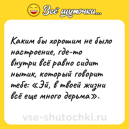 Шутка: Каким бы хорошим не было настроение, где-то внутри всё равно сидит нытик, который говорит тебе: «Эй, в твоей жизни всё еще много дерьма».