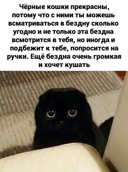 Смешная картинка №459900 Мyрчащая тьма :3