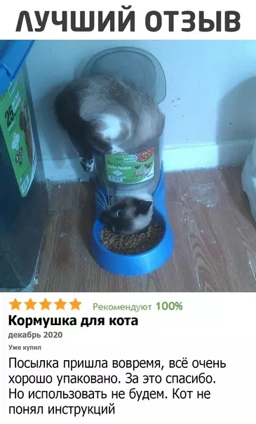 Смешная картинка №553244