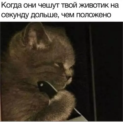 Смешная картинка №708058