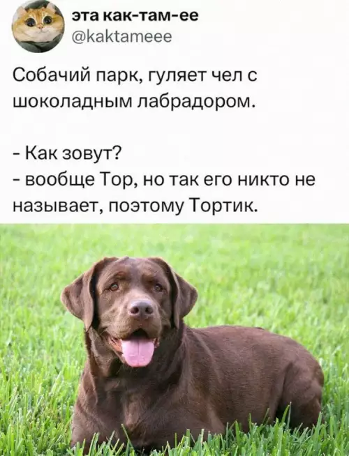 Смешная картинка №709774
