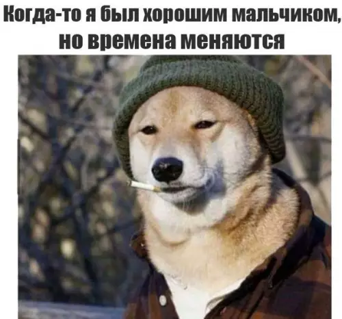 Смешная картинка №189770