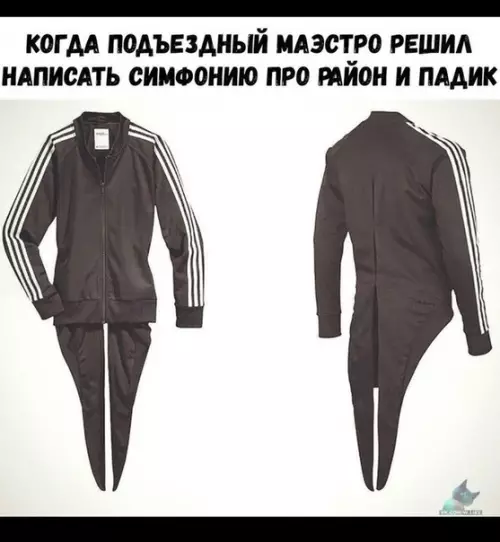 Смешная картинка №384561