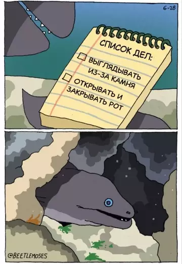 Смешная картинка №724057