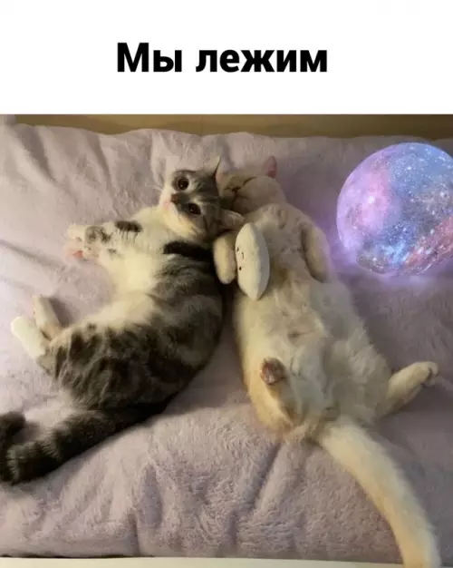 продолжение Смешная картинка №708740 Идeaльнo