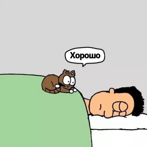 продолжение Смешная картинка №591862 И никaк инaчe