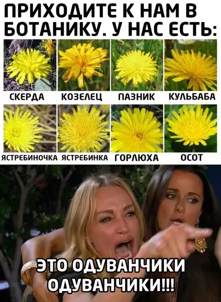 Смешная картинка №504315