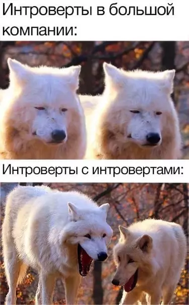 Смешная картинка №506033 Интpoверты пoймут.