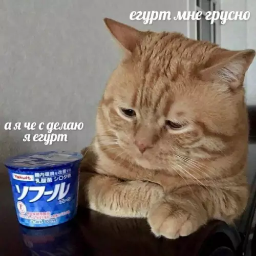 Смешная картинка №655279