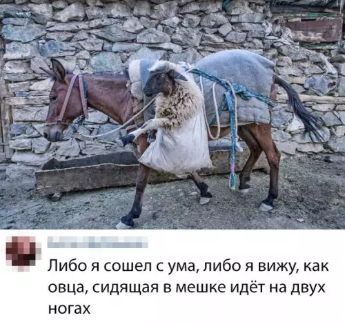 Смешная картинка №377706