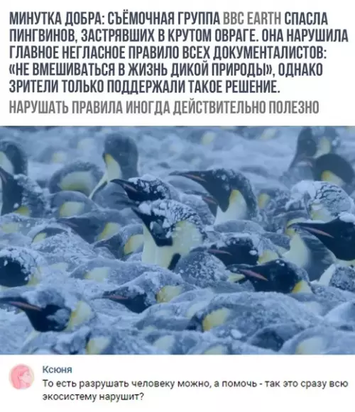 Смешная картинка №315016