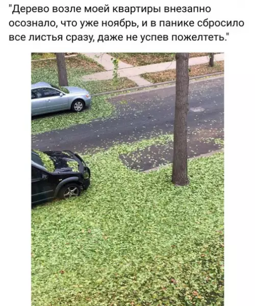 Смешная картинка №224060