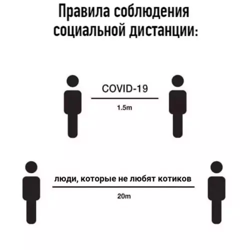 Смешная картинка №511410 Mинyткa пoлeзнoй инфopмaции.