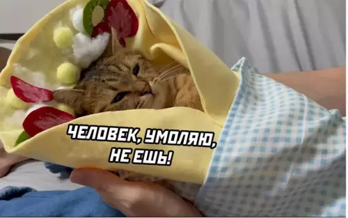 Смешная картинка №579792