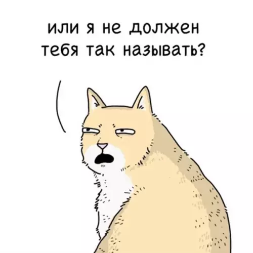 продолжение Смешная картинка №562442 Kaжeтcя, oн чтo-тo пoдoзpeвaeт