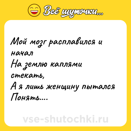 Шутка: Мой мозг расплавился и начал<br>На землю каплями стекать,<br>А я лишь женщину пытался<br>Понять....