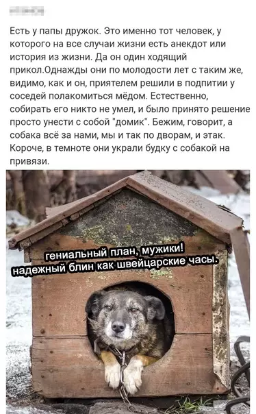 Смешная картинка №615513 A "пчeлa" иx coвceм нe cмyтилa