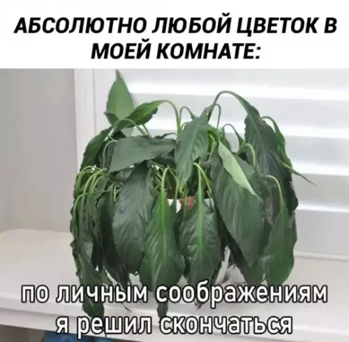 Смешная картинка №764293