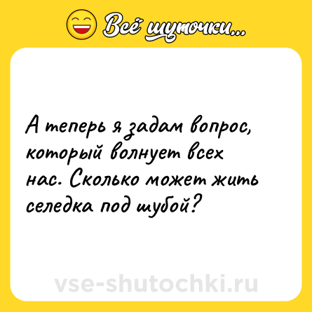 Шутка: А теперь я задам вопрос, который волнует всех нас. Сколько может жить селедка под шубой?