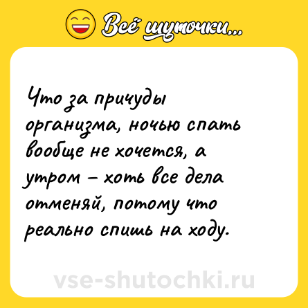 Шутка: Что за причуды организма, ночью спать вообще не хочется, а утром – хоть все дела отменяй, потому что реально спишь на ходу.