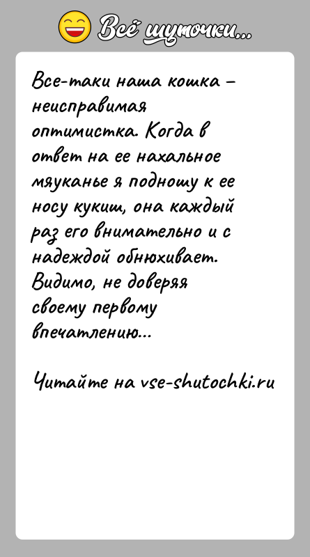 История: Все-таки наша кошка неисправимая оптимистка. Когда в ответ на ее нахальное мяуканье я подношу к ее носу кукиш, она