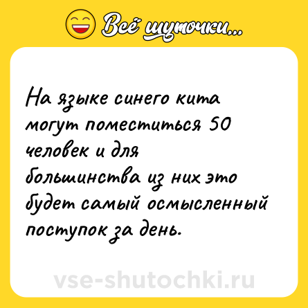 Шутка: На языке синего кита могут поместиться 50 человек и для большинства из них это будет самый осмысленный поступок за день.