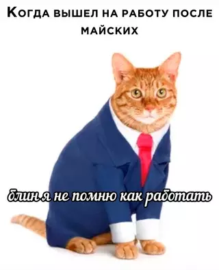 Смешная картинка №683375
