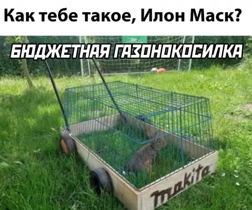 Смешная картинка №650493