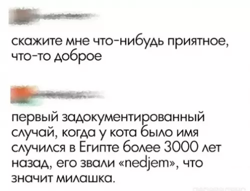 Смешная картинка №289318 Если у вас был сложный день, просто посмотрите на это: