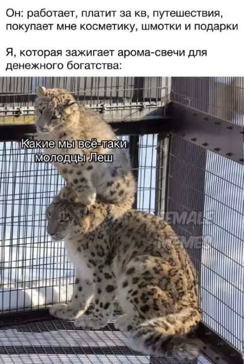 Смешная картинка №687909