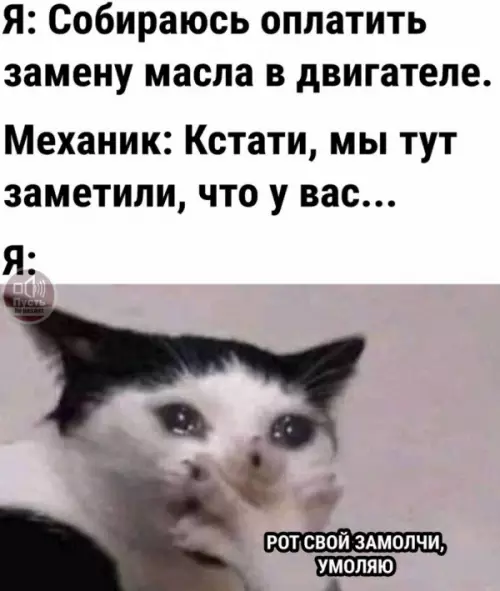 Смешная картинка №659593