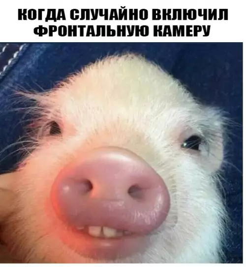 Смешная картинка №174974