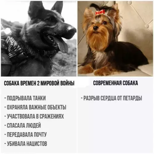 Смешная картинка №274403