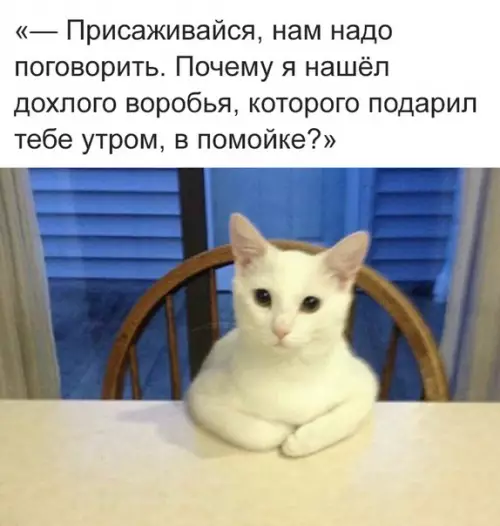 Смешная картинка №266155
