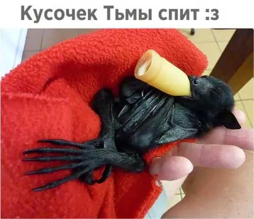 Смешная картинка №243816