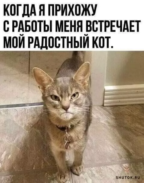 Смешная картинка №646456