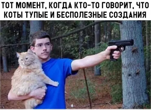Смешная картинка №299329