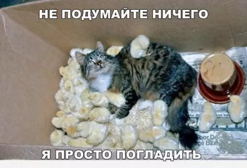 Смешная картинка №173748